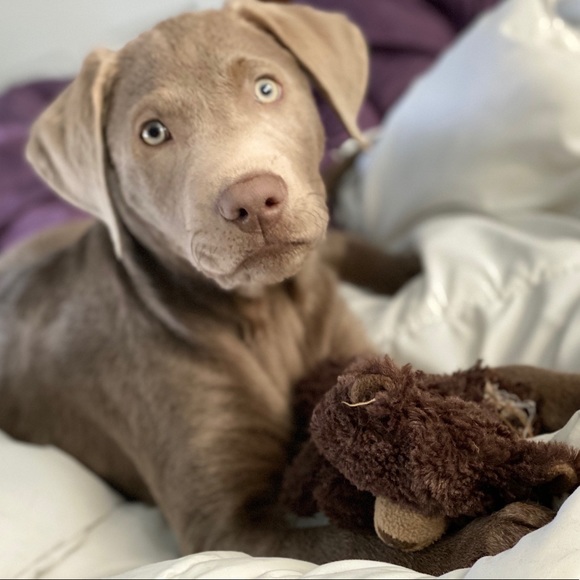 Meet your Posher, Vanessa - Picture 4 of 6